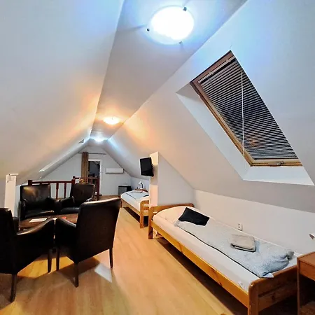 Guest house Alcorso Pension 2*